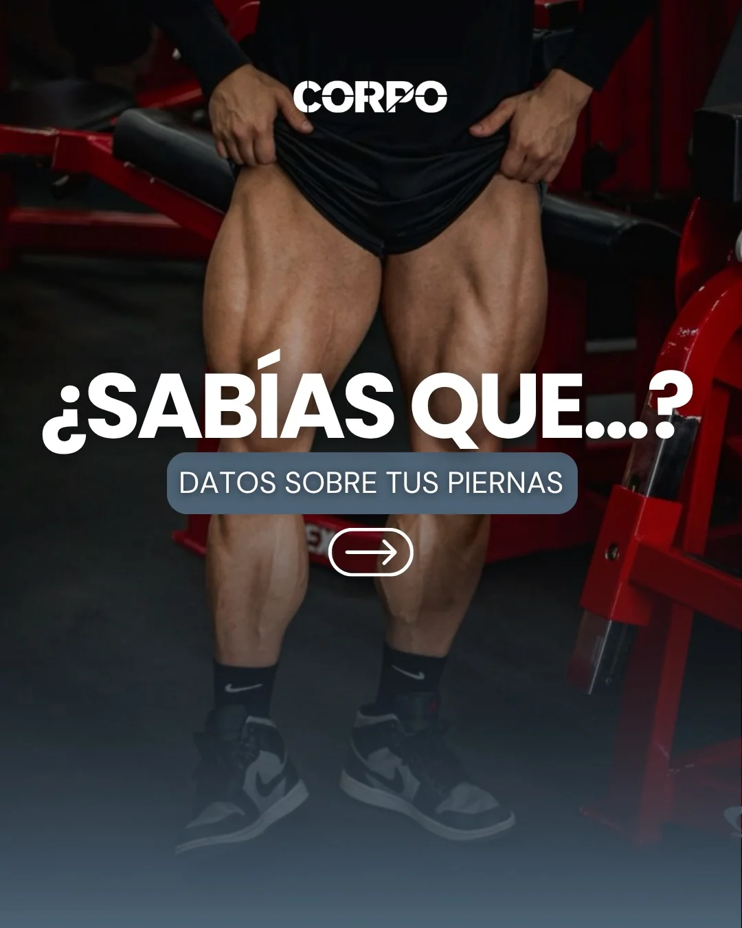 Corpo
